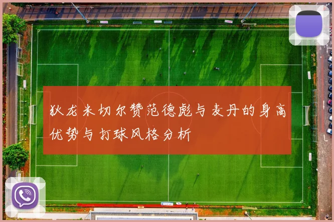 狄龙米切尔赞范德彪与麦丹的身高优势与打球风格分析